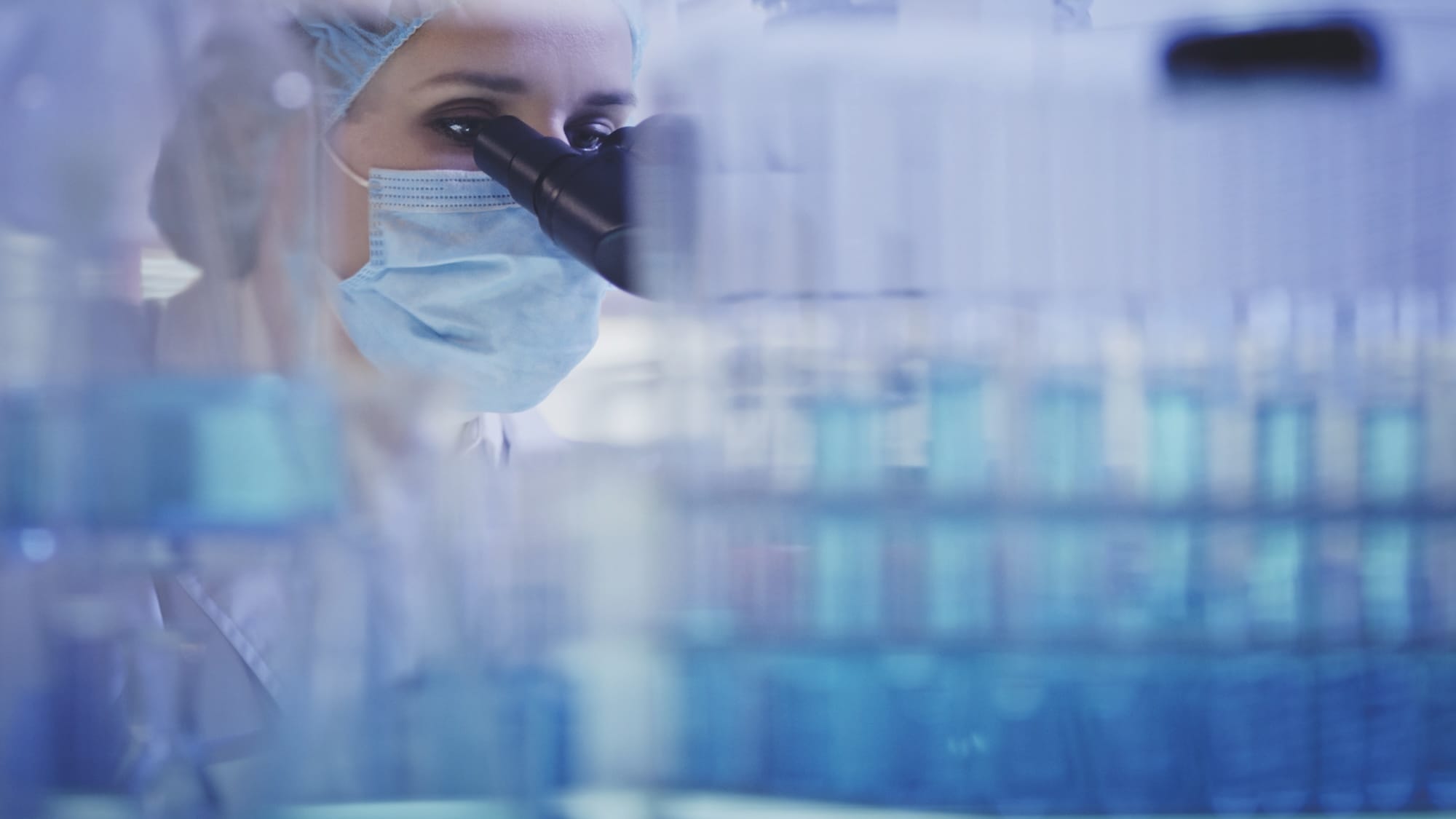 Working with biohazardous substance. Woman using microscope. Looking through glassware