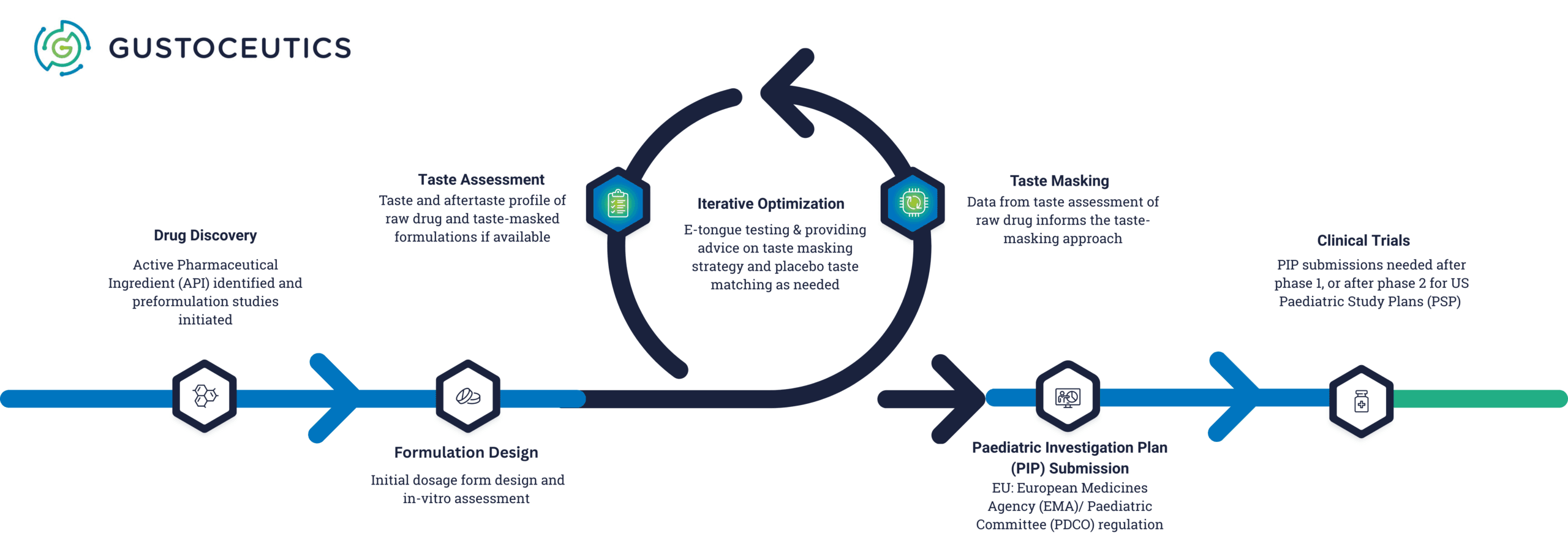 Gustoceutics_typical lifecycle_graphic
